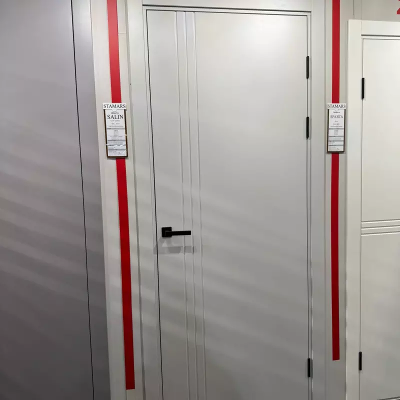 Durvis SALIN Gaiši pelēka emalja RAL 7047